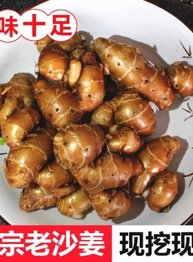 正宗茂名高州特产新鲜沙姜/山奈 白切鸡配料个大香浓一斤包邮现挖
