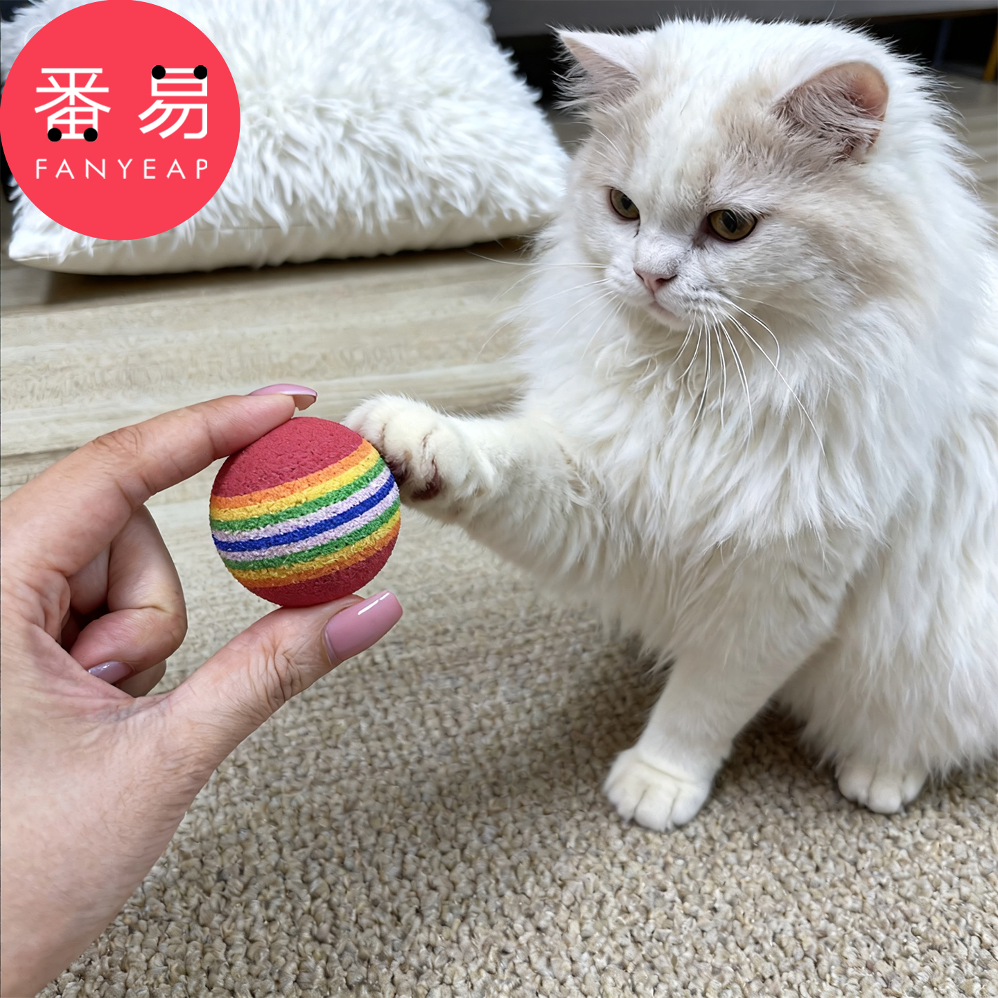 猫玩具球B1pq808-彩虹球宠物用品猫咪玩耍逗猫球宠物互动解闷球