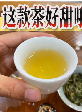普洱茶秘境古树2023明前春散茶半斤装新品普洱茶原厂地直销