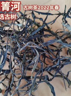 普洱茶易武铜箐河高杆古树茶散茶农直销年古树茶私人订制