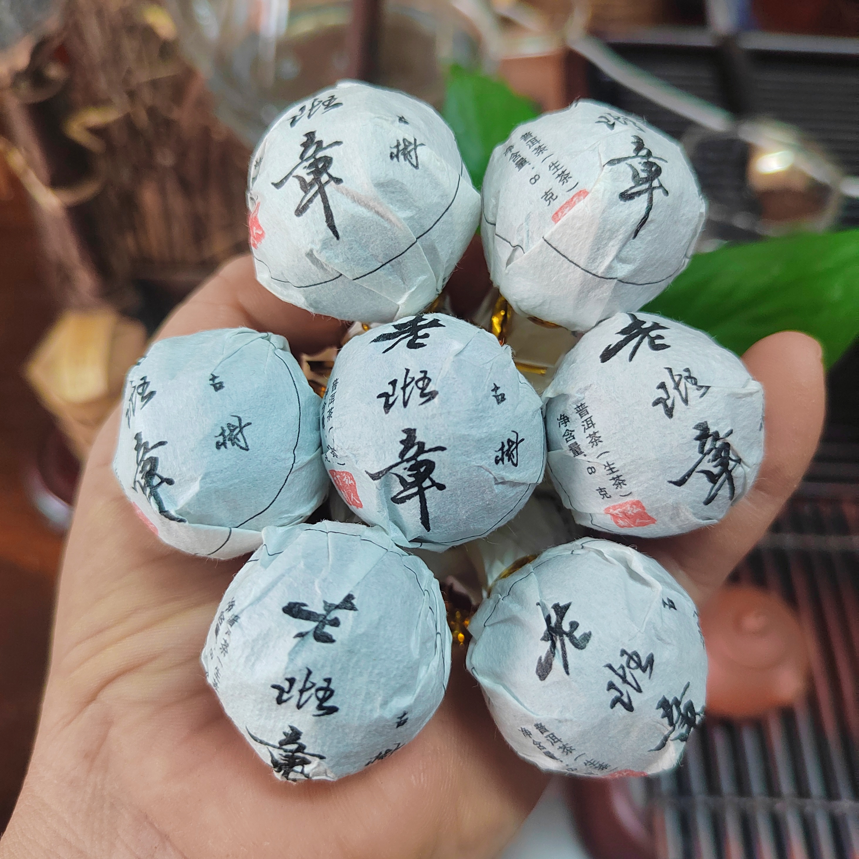 普洱茶老班章古树秋茶颐龙号普洱茶生茶龙珠428古树茶