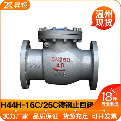H44H-16C/25C铸钢法兰旋启式止回阀 DN50 65 80 100 125 150 200