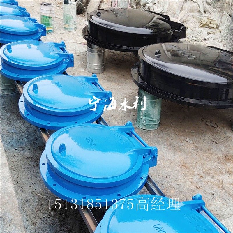 广东DN300市政排水拍门海水管道止回阀污水出水口400波纹管圆拍门