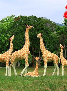 玻璃钢仿真长颈鹿雕塑户外景区公园林景观动物园大型落地装饰摆件