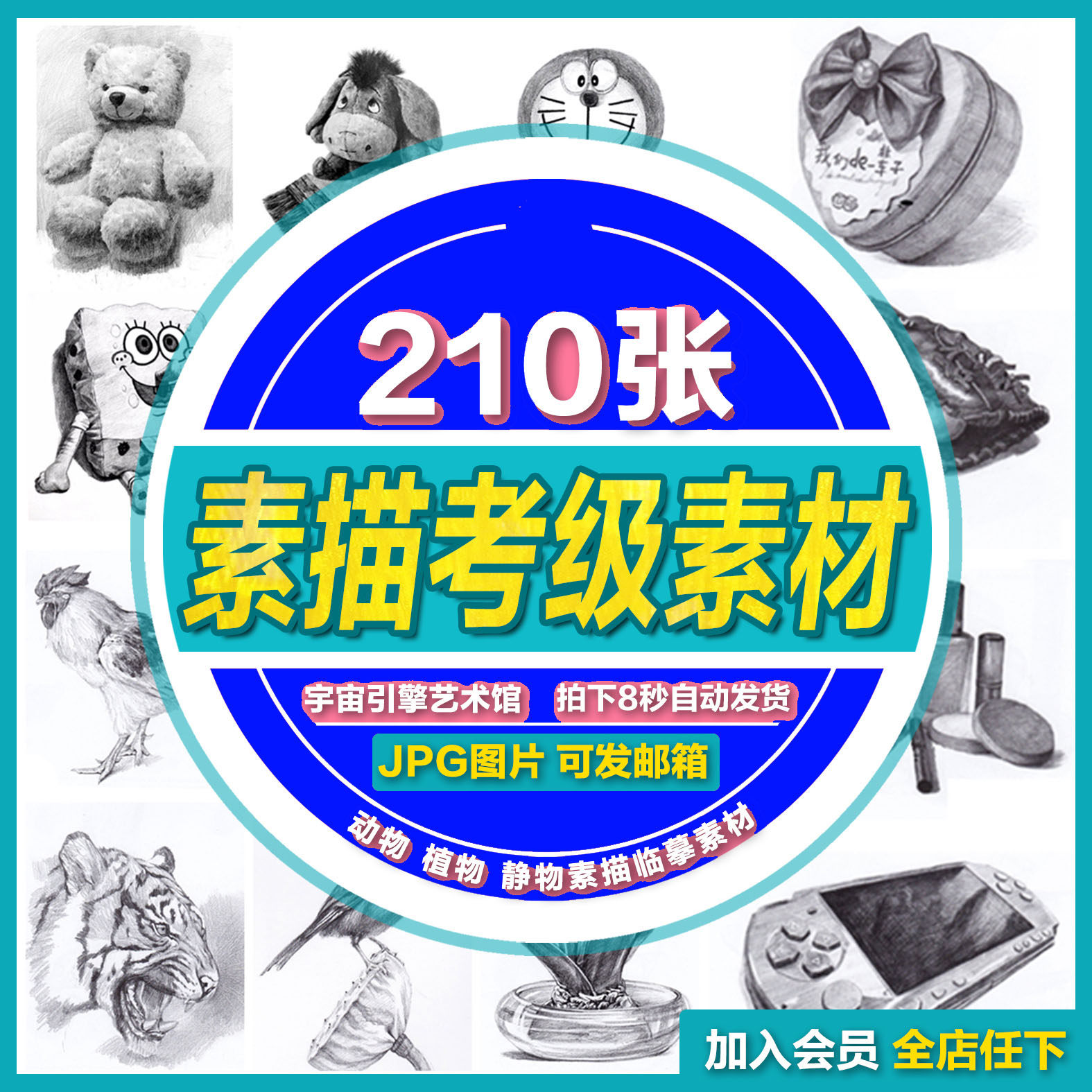 少儿创意动物植物素描儿童考级临摹范画高清可打印电子卡图片素材