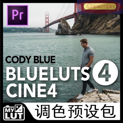 BLUELUTS PACK 4 CODY CINE4 CINE2 PP索尼专用调色LUT预设剪映pr