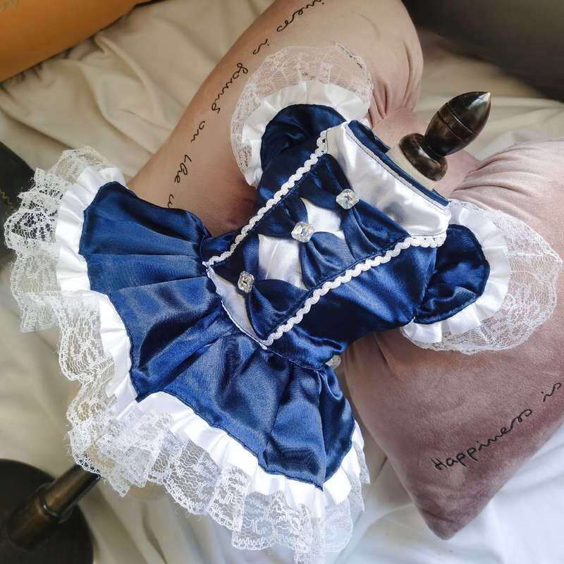 狗狗衣服公主风2021新款网红狗狗公主连衣裙子泰迪宠物衣服小型犬