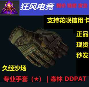 饰品崭新略磨久经破损战痕拍前询价 DDPAT 森林 csgo皮肤专业手套