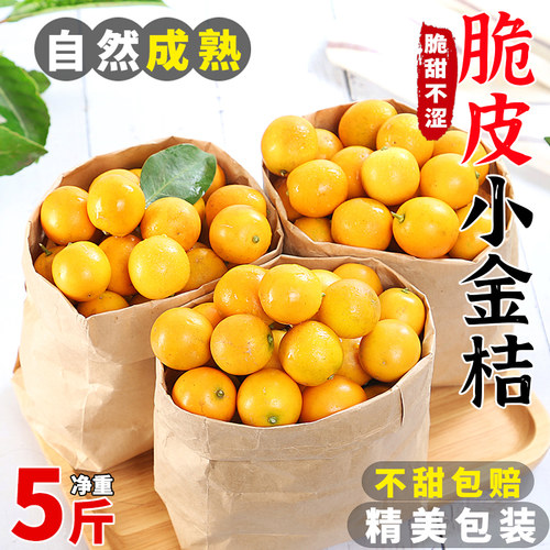 「纯甜不酸」广西小金桔5斤