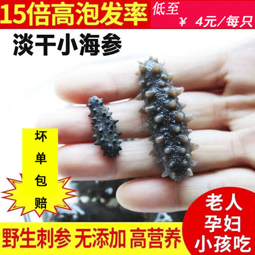 野生海参【试泡一只】速泡10小时