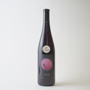 奥地利自然酒wabi sabi多瑙河之滨桃红轻红葡萄酒侘寂不完美之美