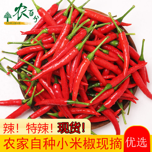 新鲜小米椒农百分小米辣椒