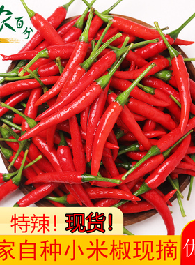 小米椒新鲜5斤特辣小米辣朝天椒红色土辣椒指天椒超辣小尖椒10