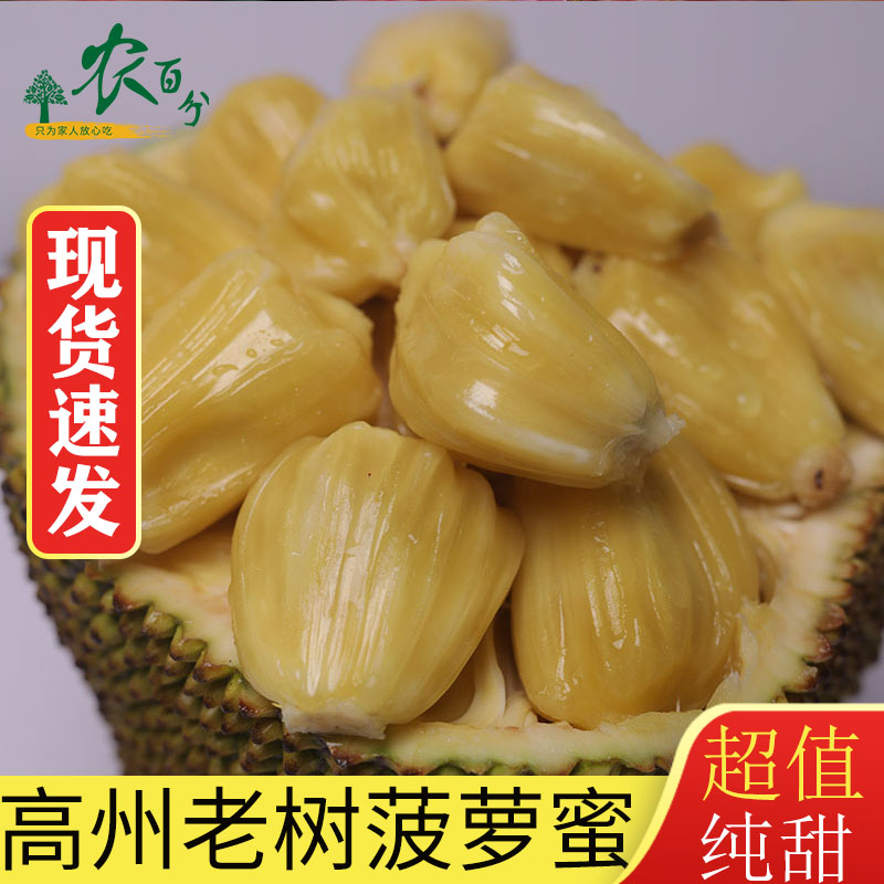 新鮮高州菠蘿蜜無(wú)膠菠蘿蜜新鮮水果波羅蜜當(dāng)季特產(chǎn)一整個(gè)脆甜口感