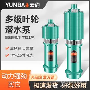 家用抽水泵多级潜水泵220V高扬程125米农田灌溉深井取水高楼水塔