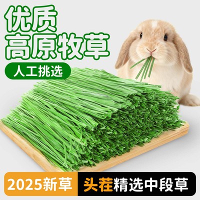 2025新烘干提摩西草段兔子专用粮食用兔饲料龙猫荷兰猪豚鼠牧草料