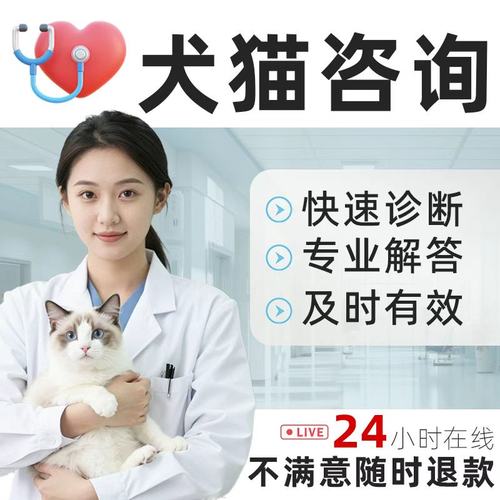 宠物医生在线问诊点击进入
