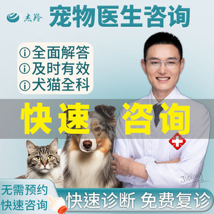 宠物医生问诊24小时在线上咨询猫咪宠物医院兽医药店