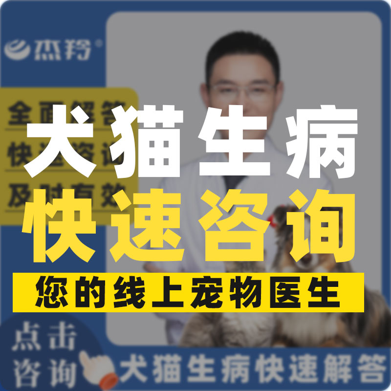 宠物医生在线问诊点击进入
