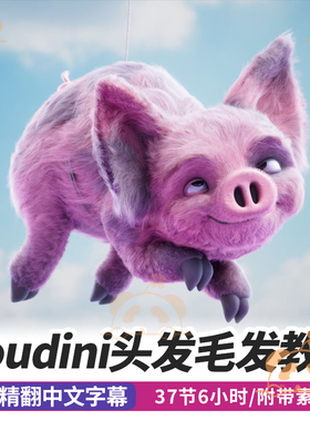 Houdini课程头发毛发造型教程VELLUM模拟karma着色照明RS渲染vex