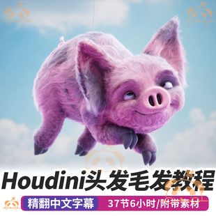 Houdini课程头发毛发造型教程VELLUM模拟karma着色照明RS渲染vex