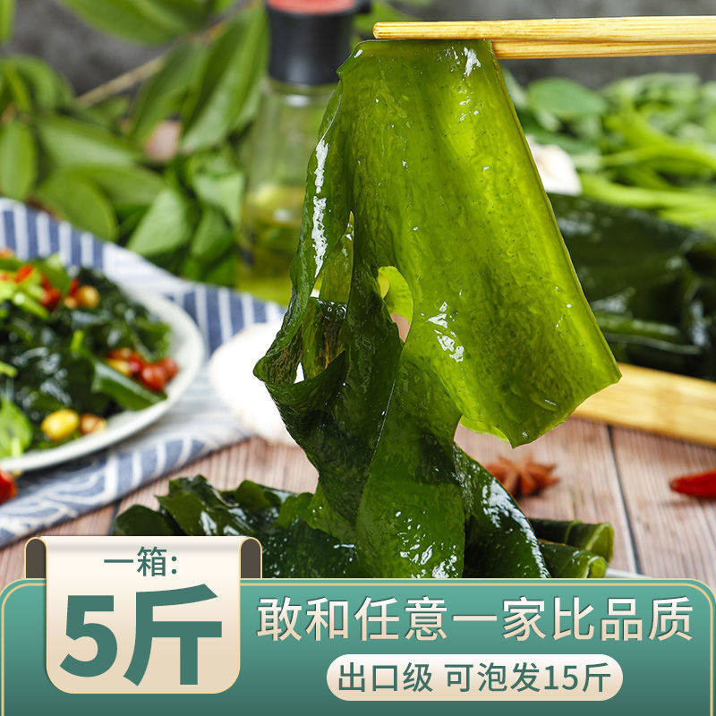 精品大连特产盐渍裙带菜5斤特级海白菜海菜苗火锅食材烫干净无沙