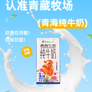 青海纯牛奶青藏牧场澳洲娟姗奶生牛乳200克*6盒装青海牛奶早餐奶