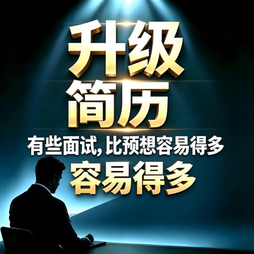 简历升级优化定制HR代写个人定制职业咨询应届生简历职业高端简历