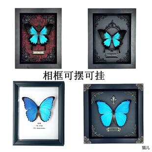 真蝴蝶标本相框装饰画摆件生日礼物圣诞节大蓝闪蝶天堂凤蝶收藏品