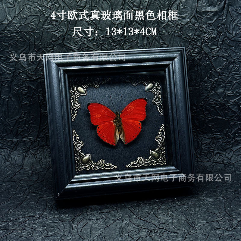 紫星蛱蝶蝴蝶标本真蝴蝶动物摆件展示框艺术品相框客厅装饰画礼物