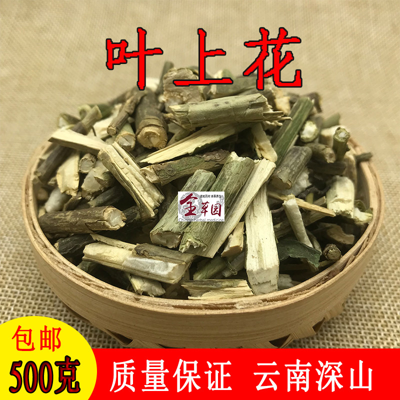 云南中药材叶上花 叶象花 叶上珠 无硫干货500克包邮另有叶下花
