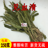 羊耳蒜 包邮 见血青 新鲜干货250克 中药材 立地好 云南见血清