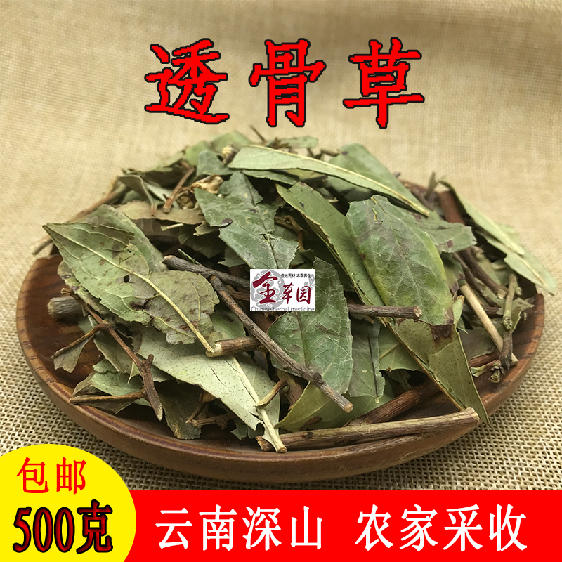云南中药材透骨草 大透骨草 新鲜干货农家自挖500克包邮