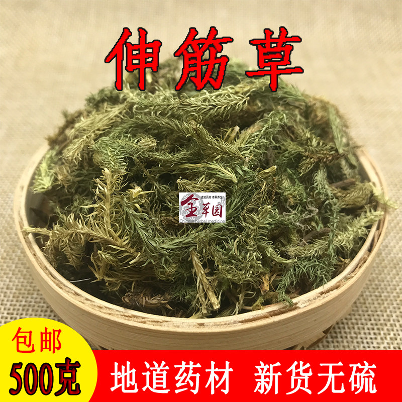 云南中药材伸筋草 狮子尾 生筋草 筋骨草 石松 狮子草干货500克