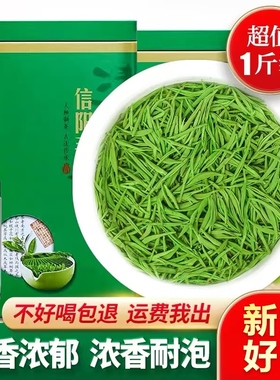 毛尖绿茶信阳毛尖2025新茶雨前高山嫩芽500g浓香耐泡型散装春茶叶