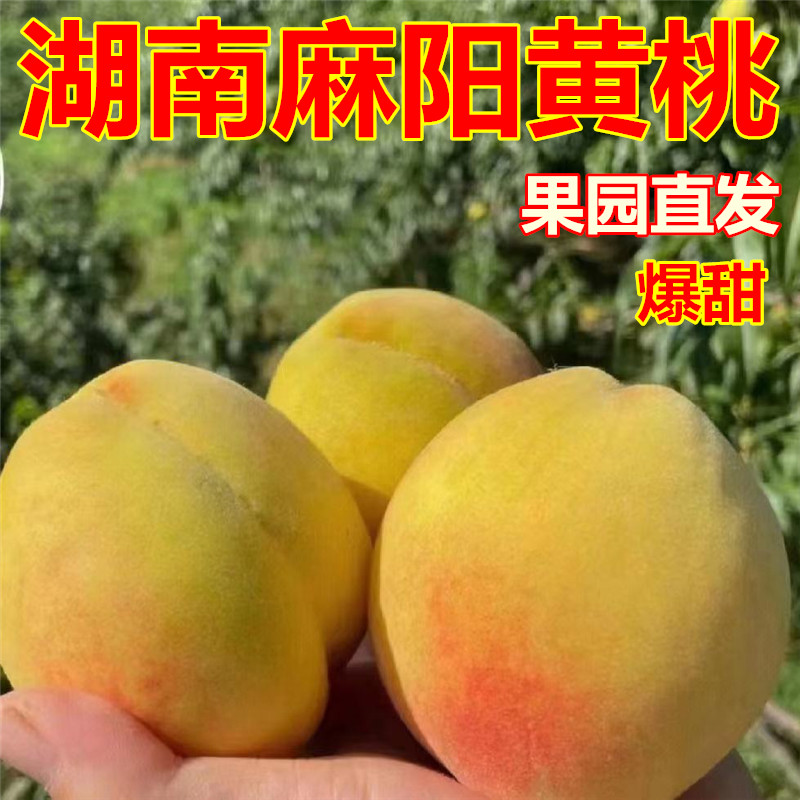 正宗湖南麻阳锦绣黄桃新鲜水果整箱10斤包箱当季现摘红心超甜桃子