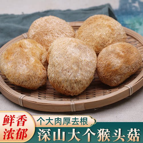野生猴头菇500g新鲜猴菇菌菇煲汤