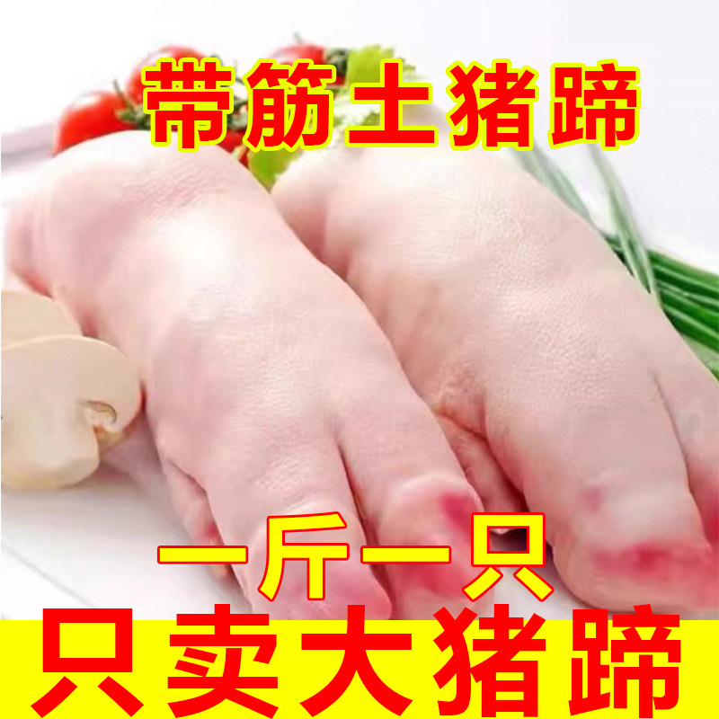 新鲜猪蹄冷冻猪脚猪前蹄香猪蹄猪爪子短猪蹄带筋猪蹄烧烤家用