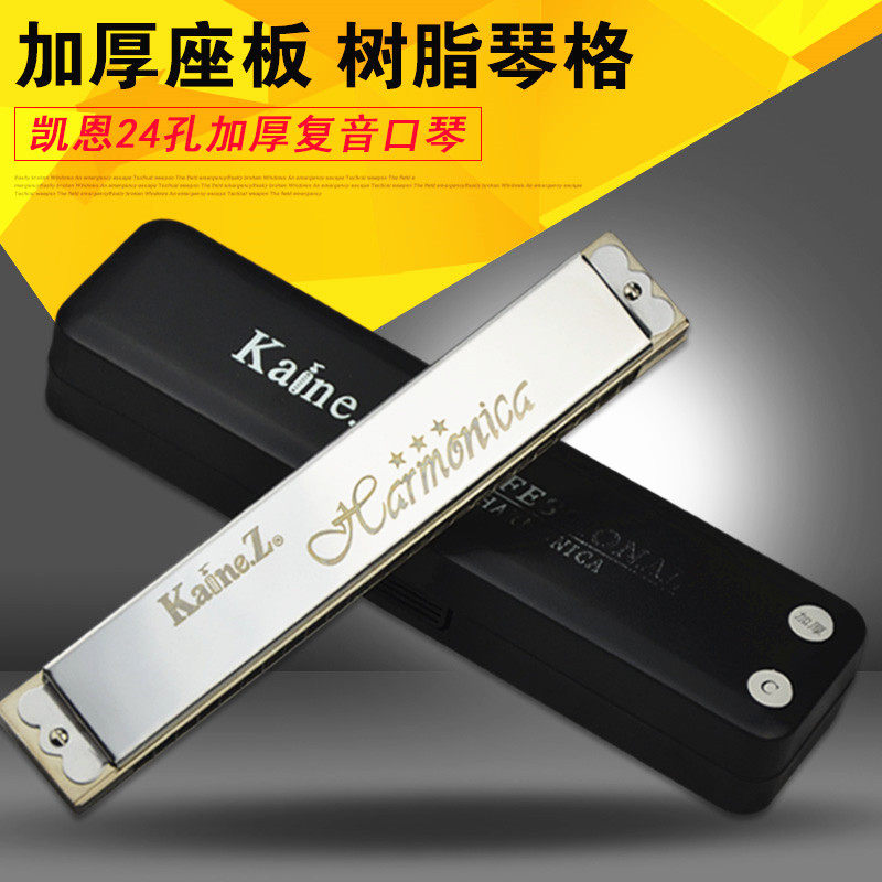 凯恩24孔复音高级专业演奏级口琴A/B/C/D/E/F/G#12调套装初学入门