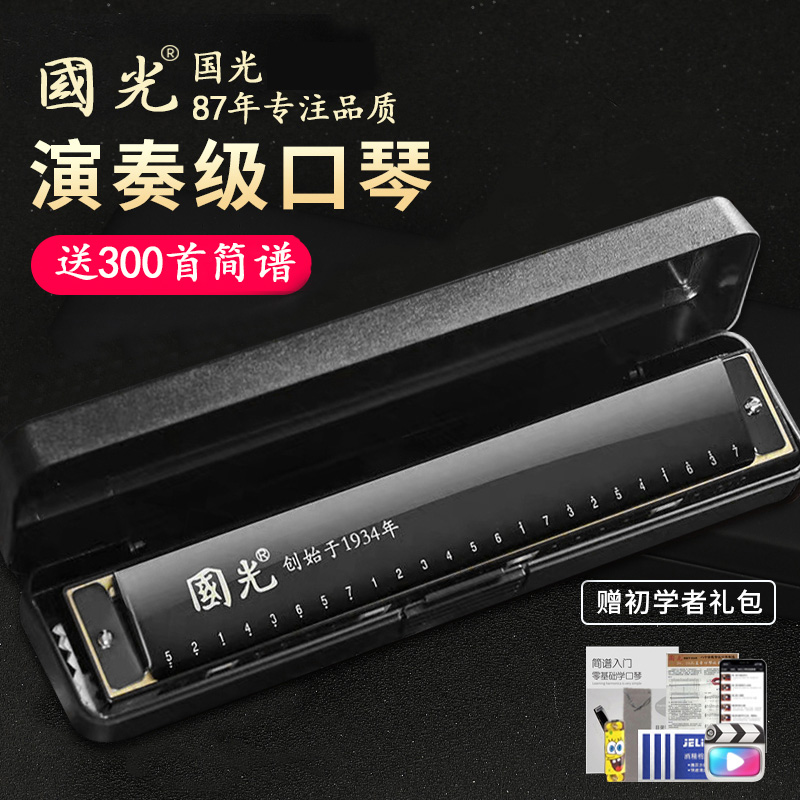 24/28孔复音成人入门初学者口琴