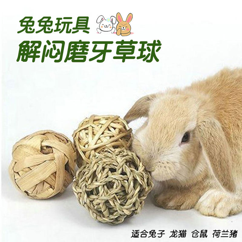 两只兔幼兔兔子磨牙草球磨牙玩具编织球兔兔豚鼠龙猫零食啃咬玩具,宠物/宠物食品及用品,兔兔玩具,淘宝优惠券,粉丝福利购,淘宝优惠卷