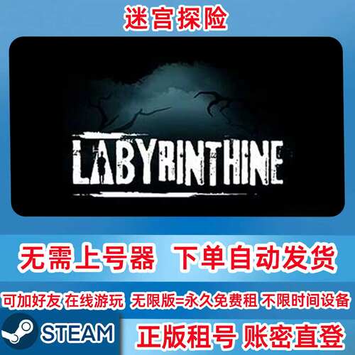 Steam正版租号 迷宫探险 Labyrinthine 租号 在线联机 账密登录