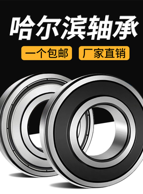 哈尔滨轴承6403 6404 6405 6406 6407 6408 6409 6410ZZ 2Z 2RS