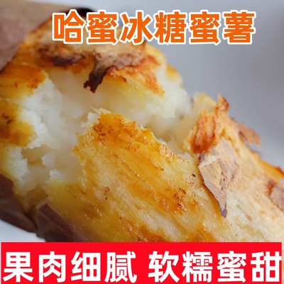 山东哈密冰糖薯新鲜白心蜜薯糖心红薯超甜农家山芋沙地番地瓜9斤