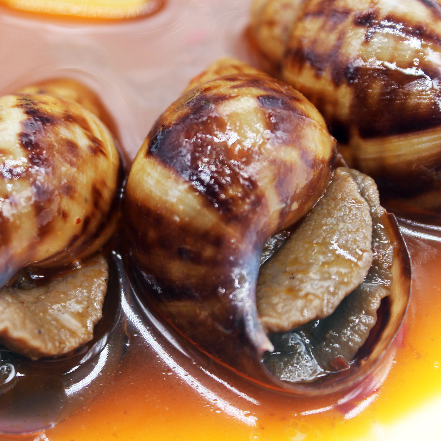 香辣蜗牛速冻半成品调味白玉蜗牛肉速食生鲜私房菜210克年货包邮