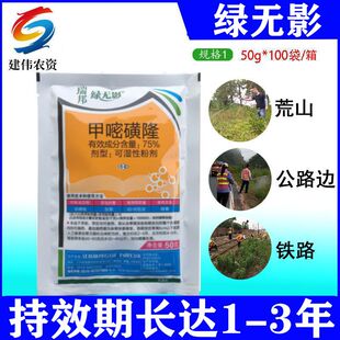 瑞邦绿无影甲嘧磺隆75%铁路公路荒山非耕地防火隔离除草剂正品