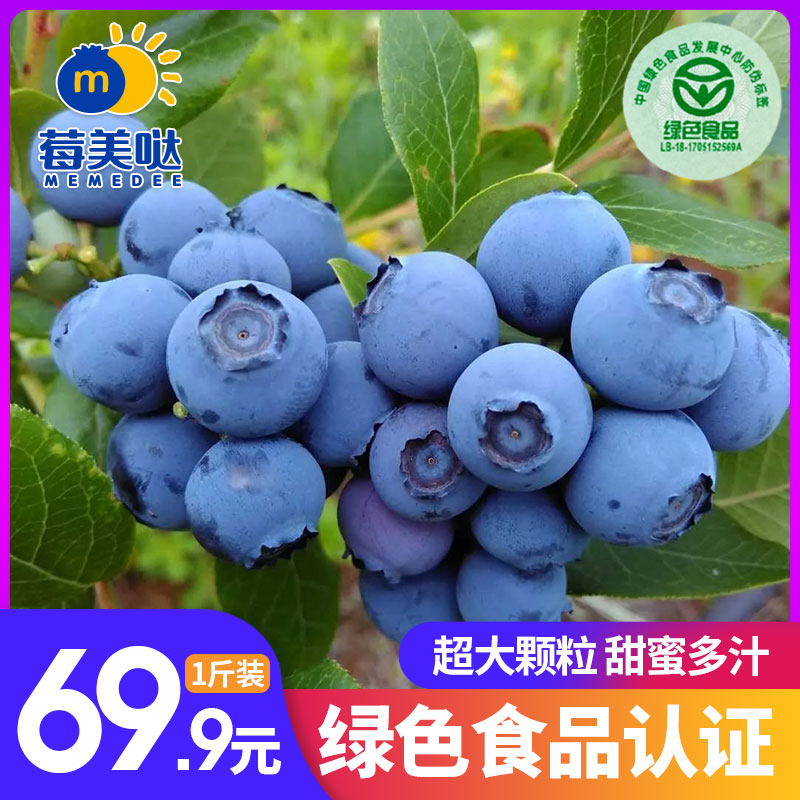莓美哒蓝莓鲜果国产新鲜蓝莓4盒1斤现摘当季水果孕妇宝宝辅食整箱