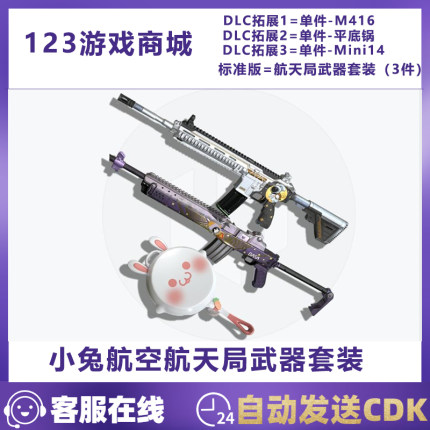 PUBG绝地求生皮肤小兔航空航天局武器套装M4平底锅MINI兑换码CDK