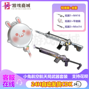 PUBG绝地求生皮肤小兔航空航天局武器套装M4平底锅MINI兑换码CDK