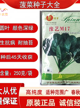 豫艺山竹M17M28菠菜种子精品杂交高产抗病黑油亮菠菜种籽原装正品